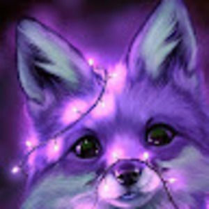 Meet your Posher, Helena